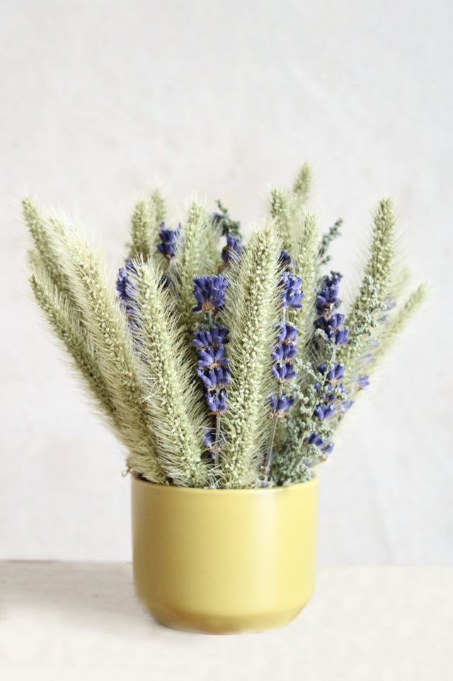 Dried Lavender & Daisies Bouquet_ The Shops at Mount Vernon