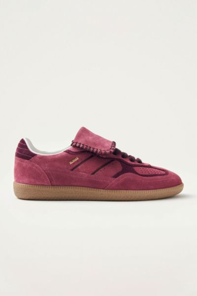 Alohas Tb.490 Club Suede Raspberry Leather Sneakers Raspberry In Raspberry And Burgundy