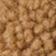 Chestnut