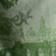 Goose Toile