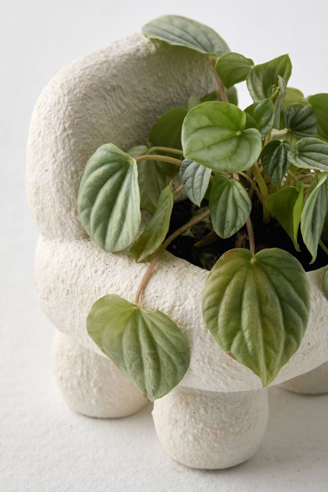 Jardinière Chaise #4