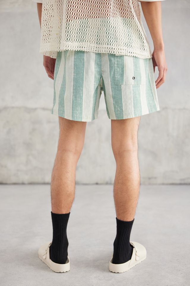 Standard Cloth Printed Stripe Swim Short #1