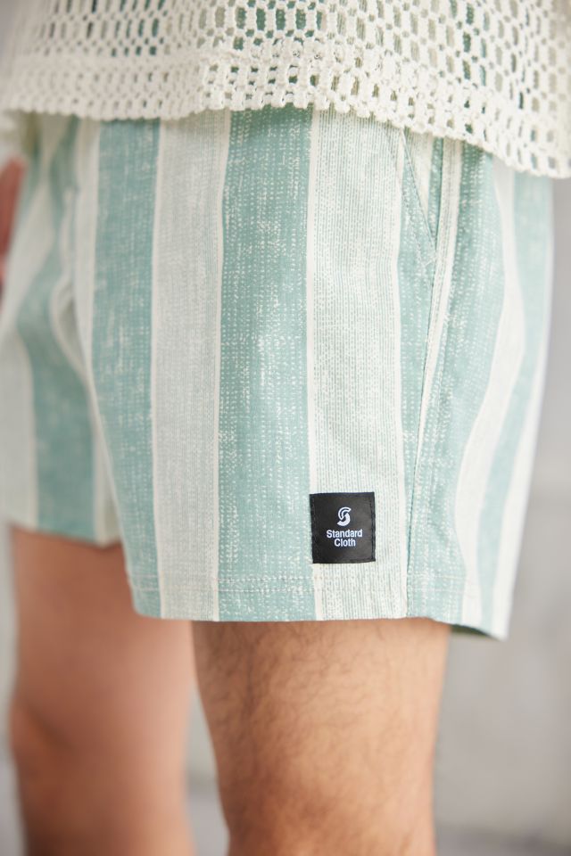Standard Cloth Printed Stripe Swim Short #3