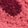 Rumba Red