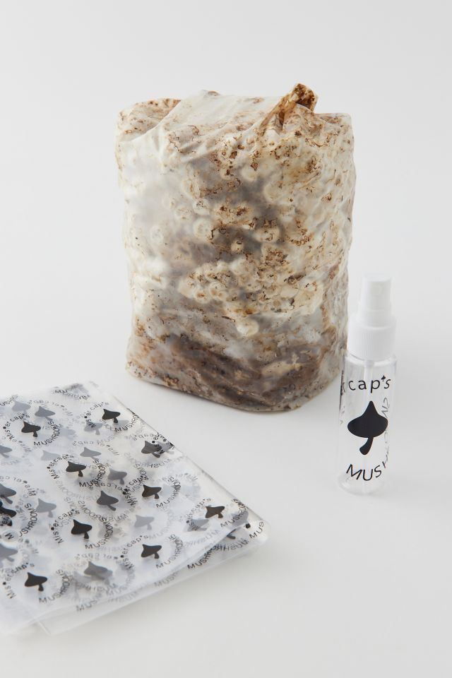 Mistercap’s Mushroom Grow Kit #1