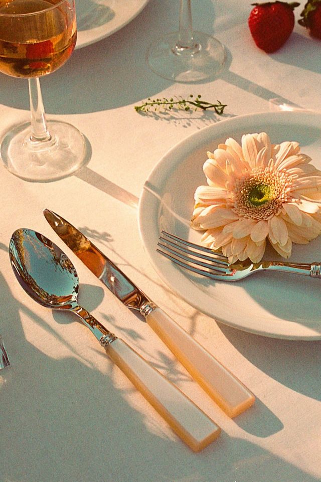 Pearl Brushed Stainless Steel Flatware Set with Acrylic Handles