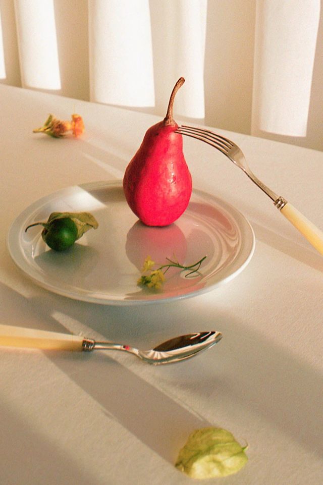 Pearl Brushed Stainless Steel Flatware Set with Acrylic Handles
