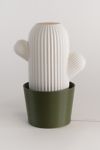 Honey & Ivy Mika Cactus Lamp