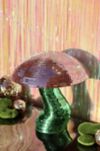 Sofiest Designs Disco Mojo Mushroom