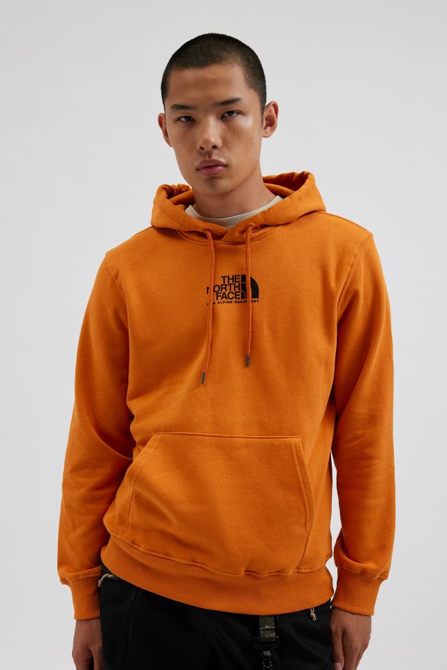 North face fine hoodie best sale