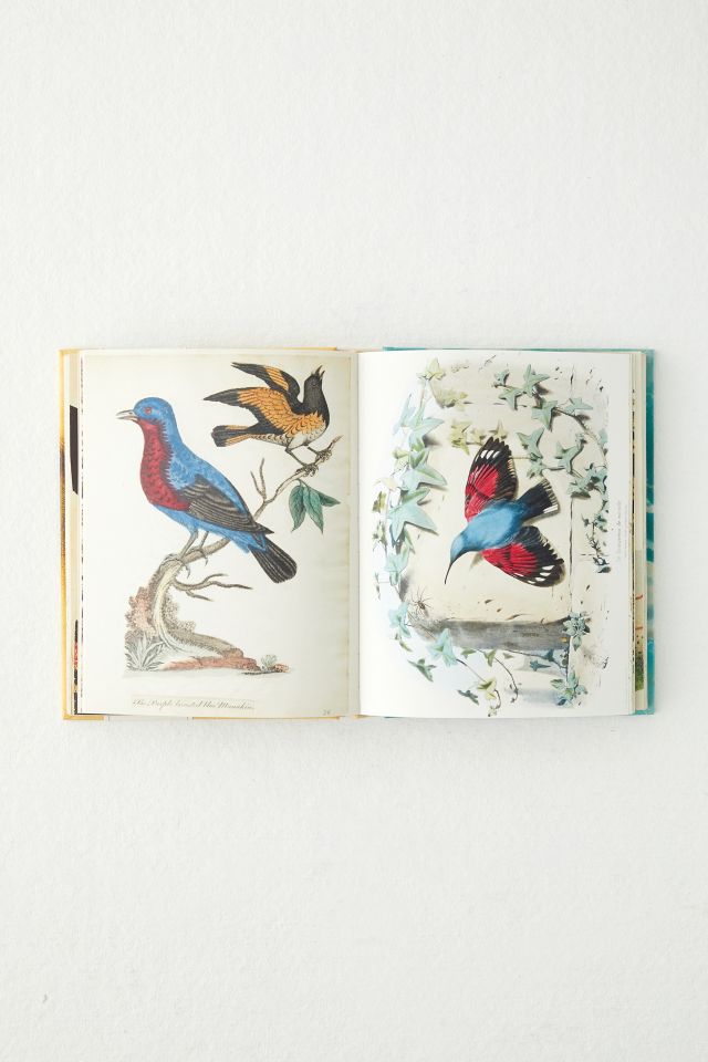 John Derian Sticker Book By John Derian #1