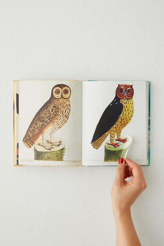 John Derian Sticker Book By John Derian #2