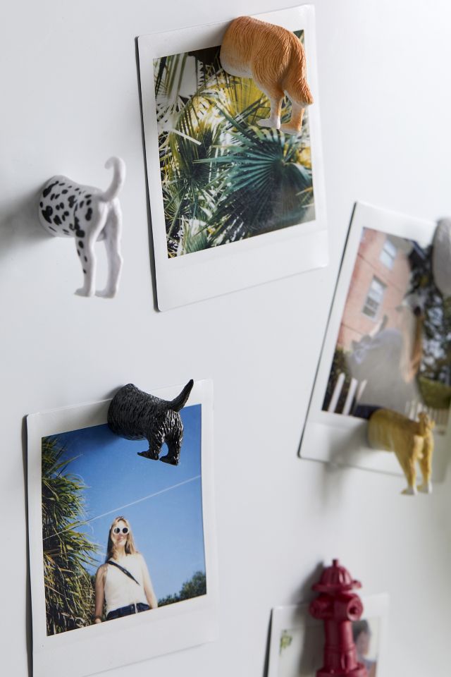 Animal Butt Magnet Set #1