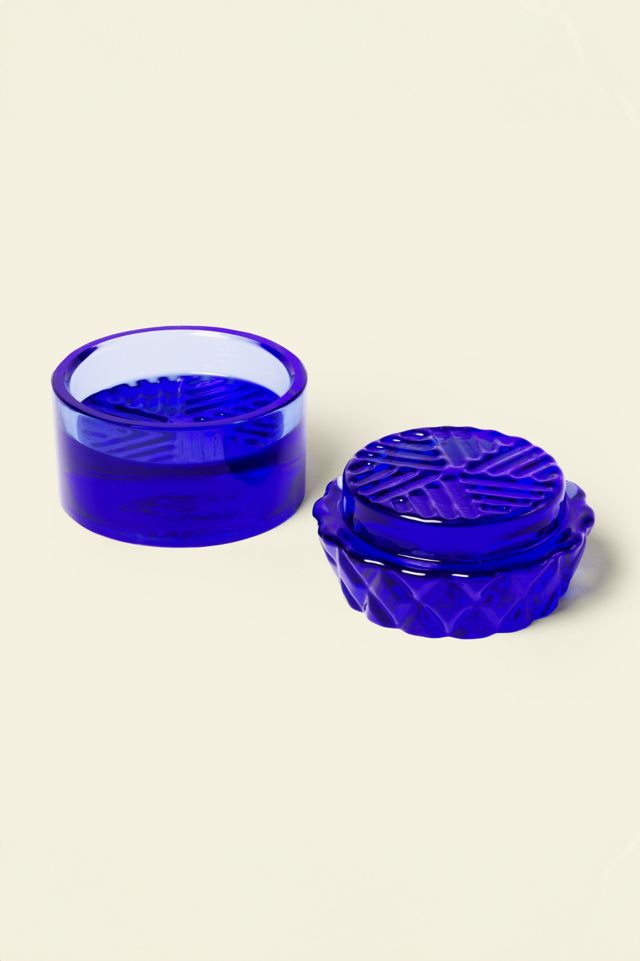 Broyeur en Verre pour Plantes d'Intérieur #2