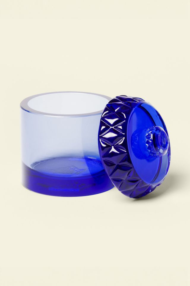 Houseplant Glass Stash Jar #1