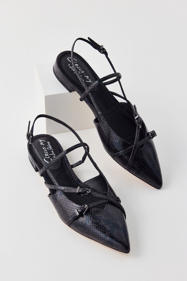 Circus NY By Sam Edelman Lindley Pointed Toe Slingback | Urban