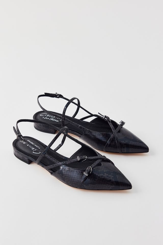 Circus NY By Sam Edelman Lindley Pointed Toe Slingback | Urban