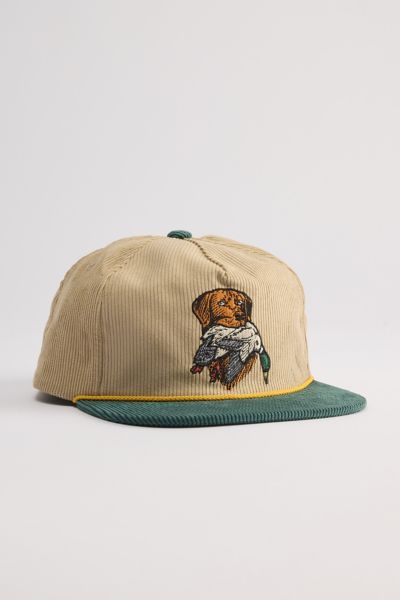 Dark Seas Loyal Dog Corduroy Hat In Khaki, Men's At Urban Outfitters In Khaki