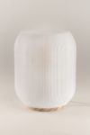 Honey & Ivy Element One Table Lamp