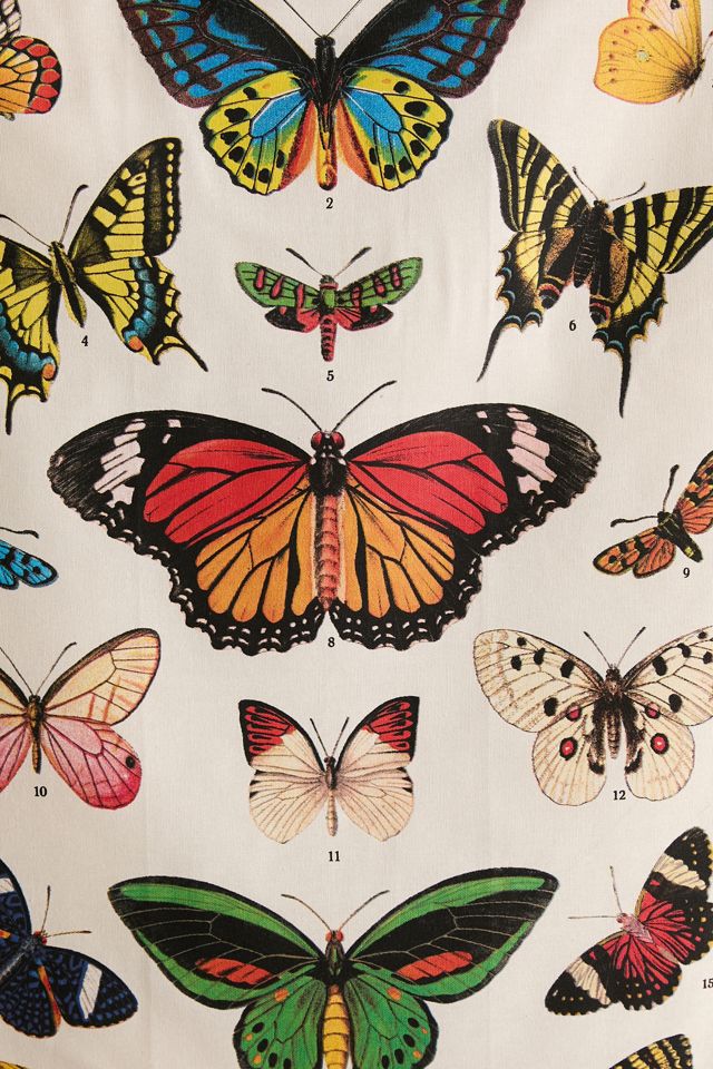 Papiers Cavallini Tapisserie de Référence de Spécimen de Papillon #2