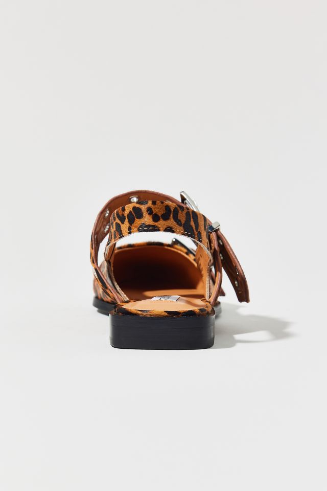 Steve Madden Graya Leopard Print Calf Hair Buckle Flat #4