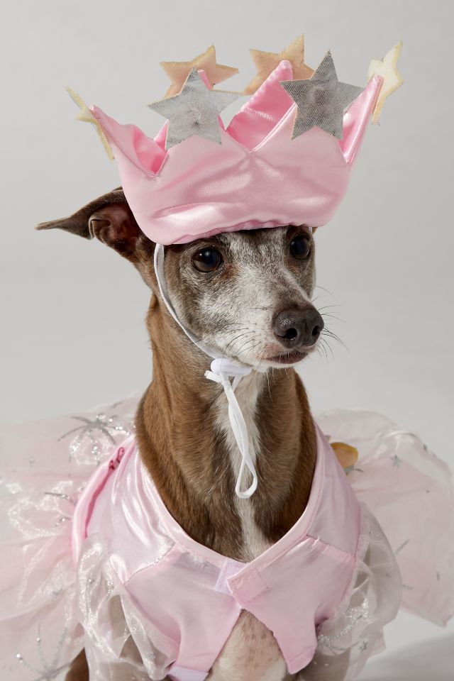 Wizard Of Oz Glinda The Good Witch Pet Costume #3