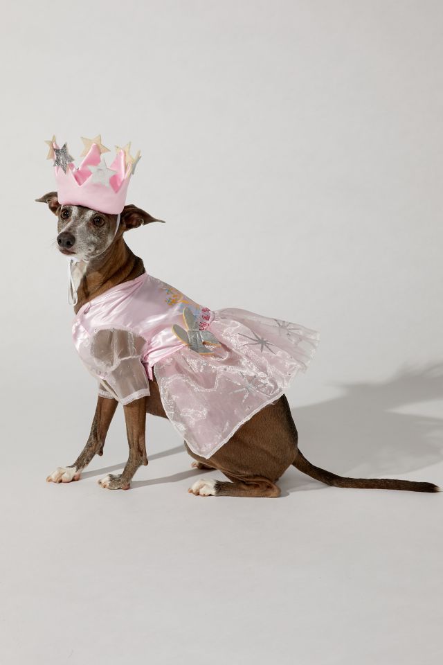 Wizard Of Oz Glinda The Good Witch Pet Costume #4