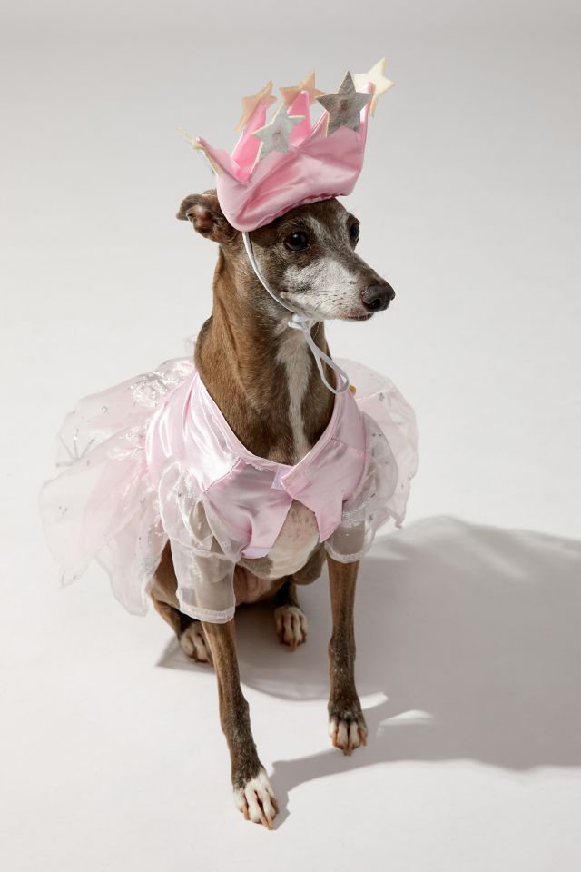 Wizard Of Oz Glinda The Good Witch Pet Costume #5