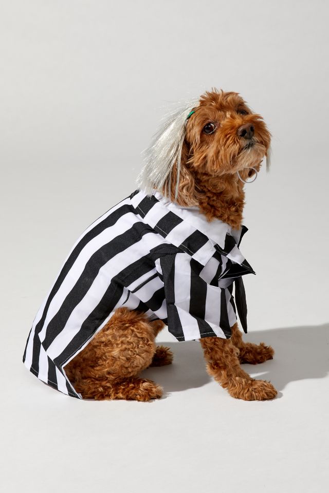 Beetlejuice Pet Costume #1