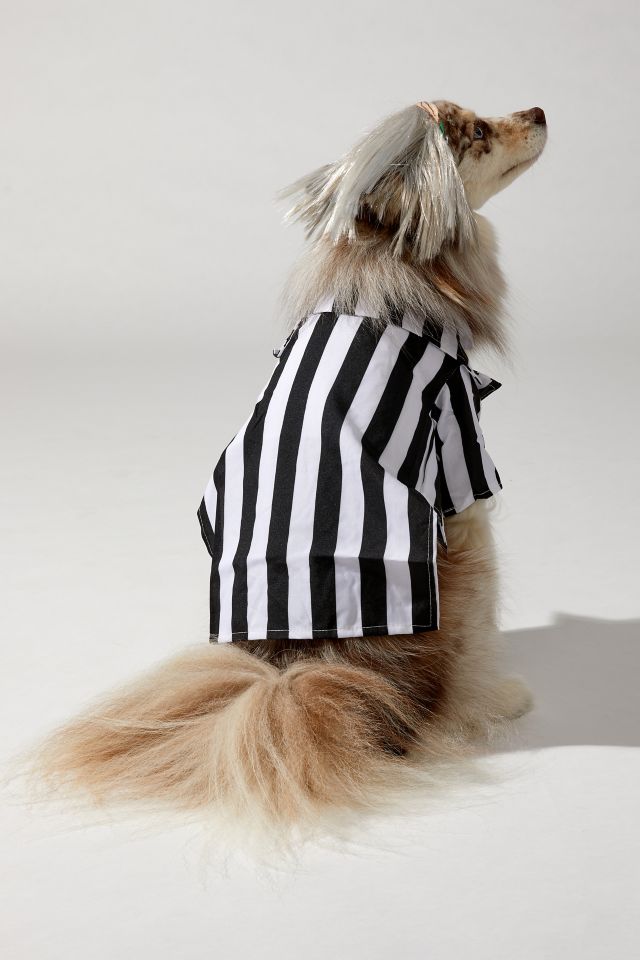 Beetlejuice Pet Costume #3