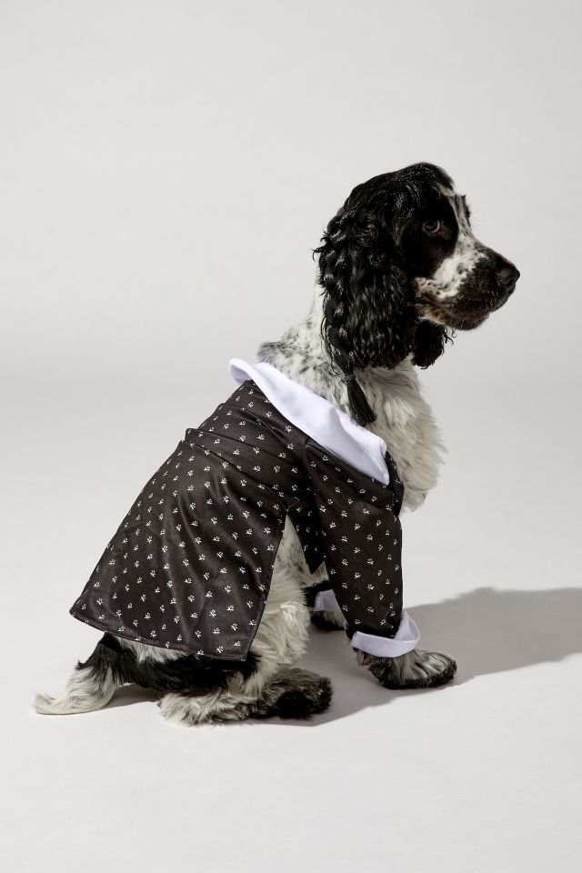Wednesday Addams Pet Costume #1