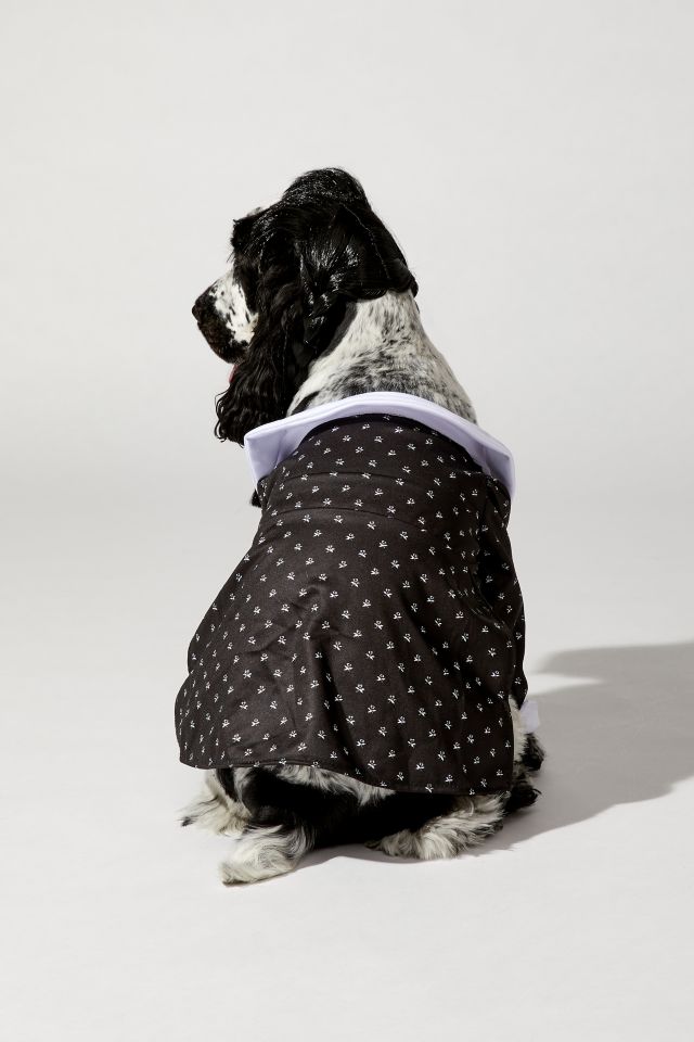 Wednesday Addams Pet Costume #4