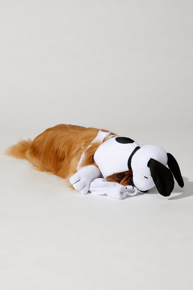 Peanuts Snoopy Walking Pet Costume #2