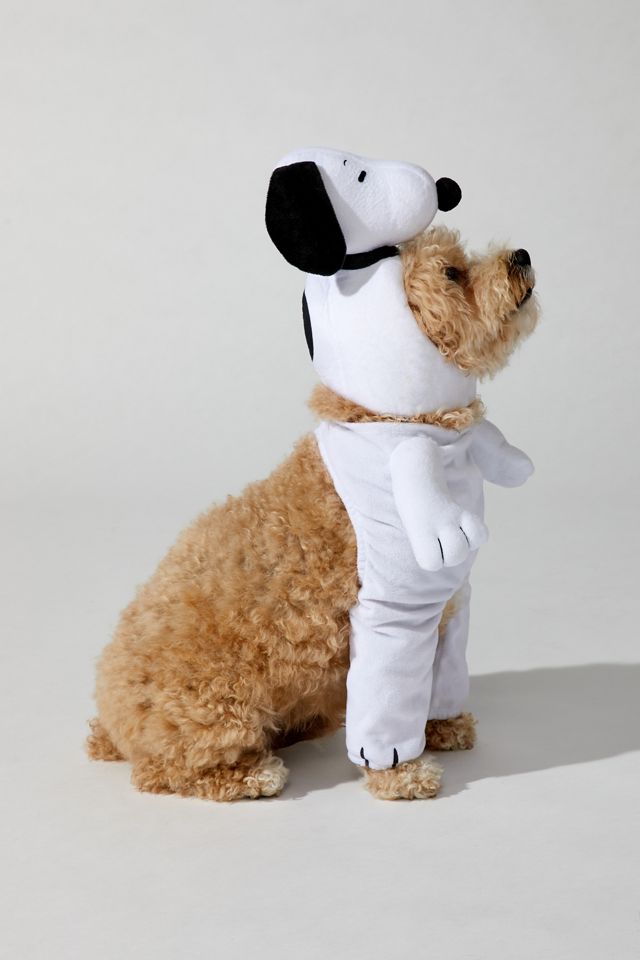 Peanuts Snoopy Walking Pet Costume #3