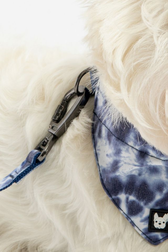 Silver Paw Poplin Bandana Dog Collar #3