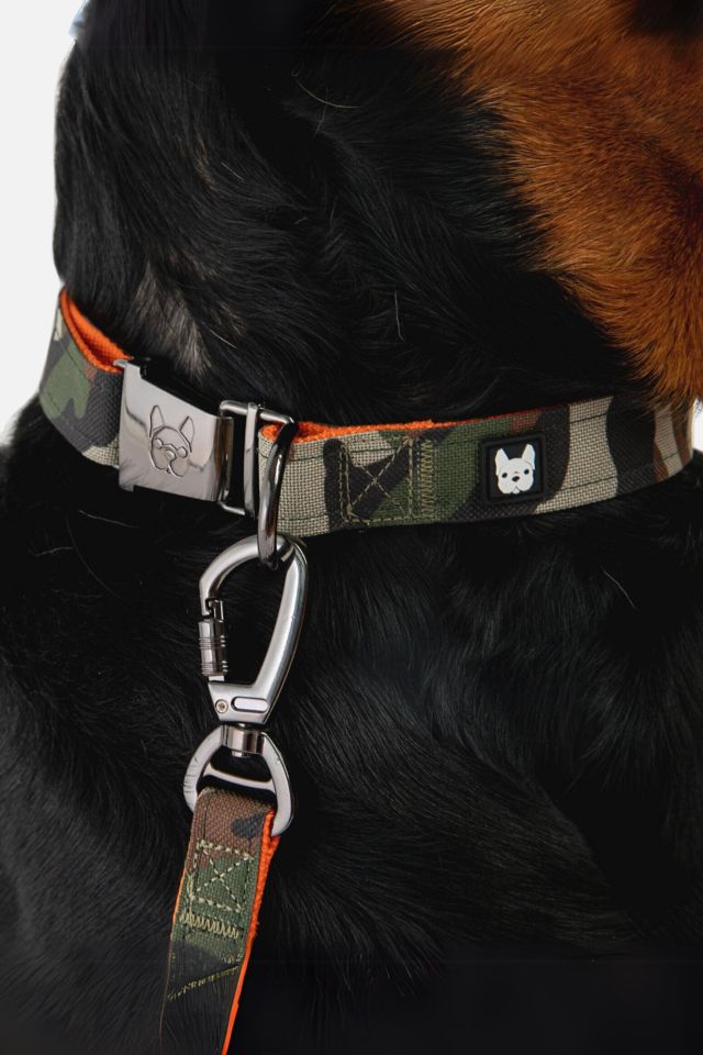 Silver Paw Poplin Dog Leash #2