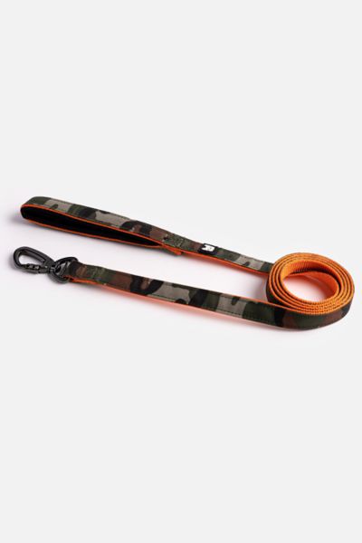 Silver Paw Poplin Dog Leash