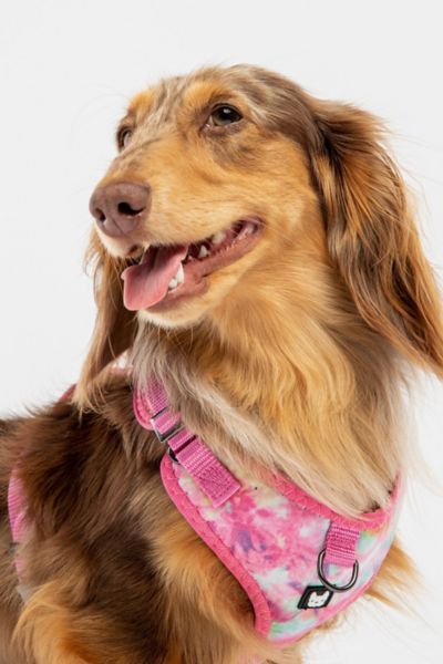 Silver Paw Poplin Dog Harness