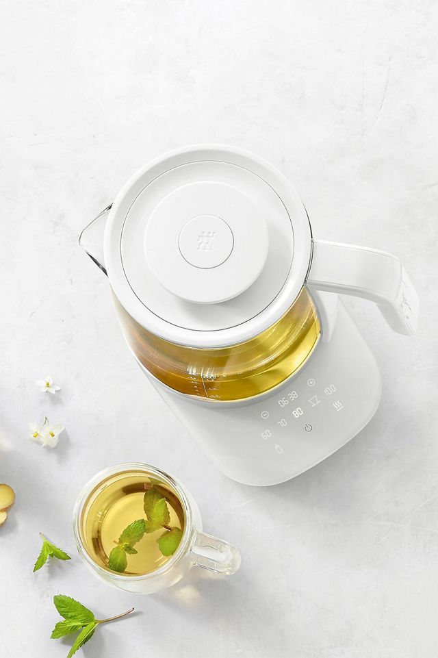 ZWILLING Enfinigy Glass Electric Kettle #1
