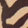 Tanners brown