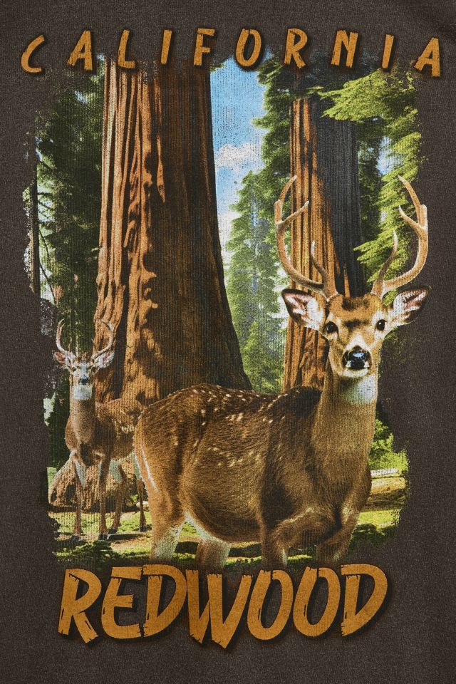 T-shirt graphique Redwood California #2