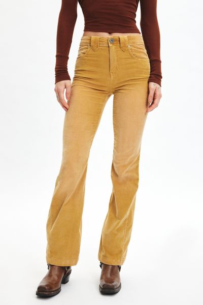 Ecote Callie Corduroy Bootcut Pant