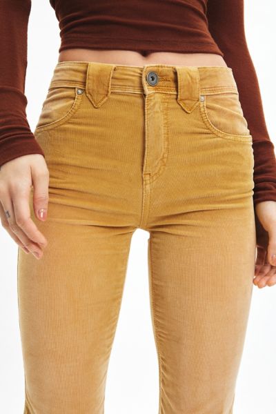 Ecote Callie Corduroy Bootcut Pant