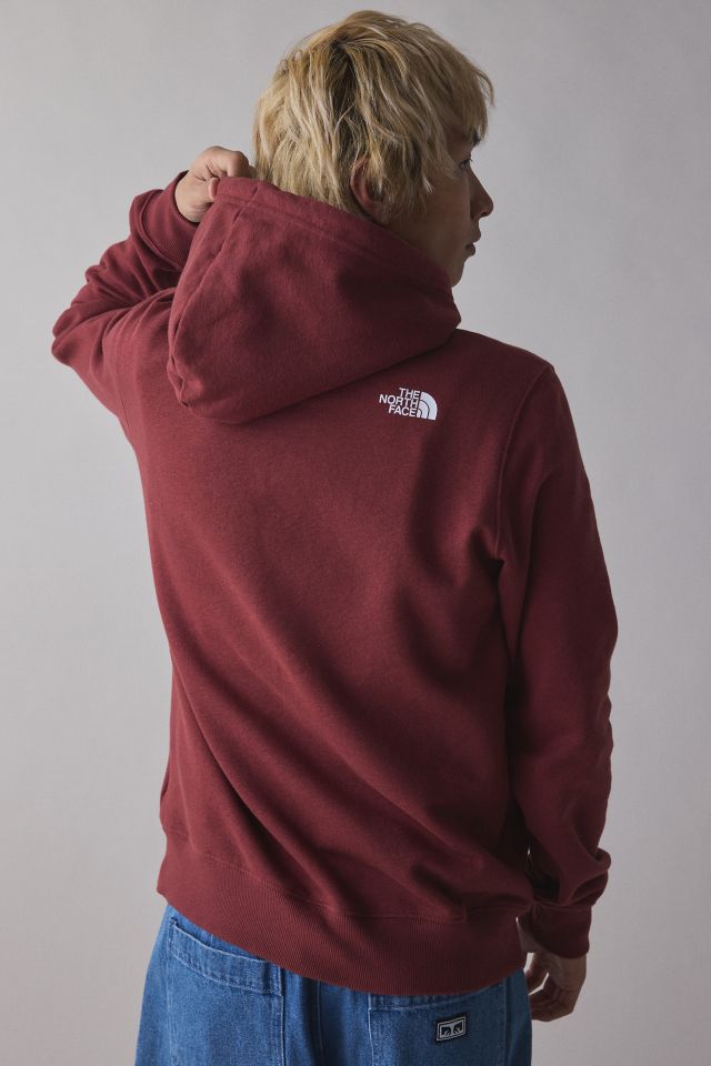The North Face Immersed Outdoors Half Dome Hoodie Sweatshirt #1
