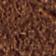 Dark Earth / Birch