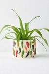 Chili Pepper Icon Ceramic Planter