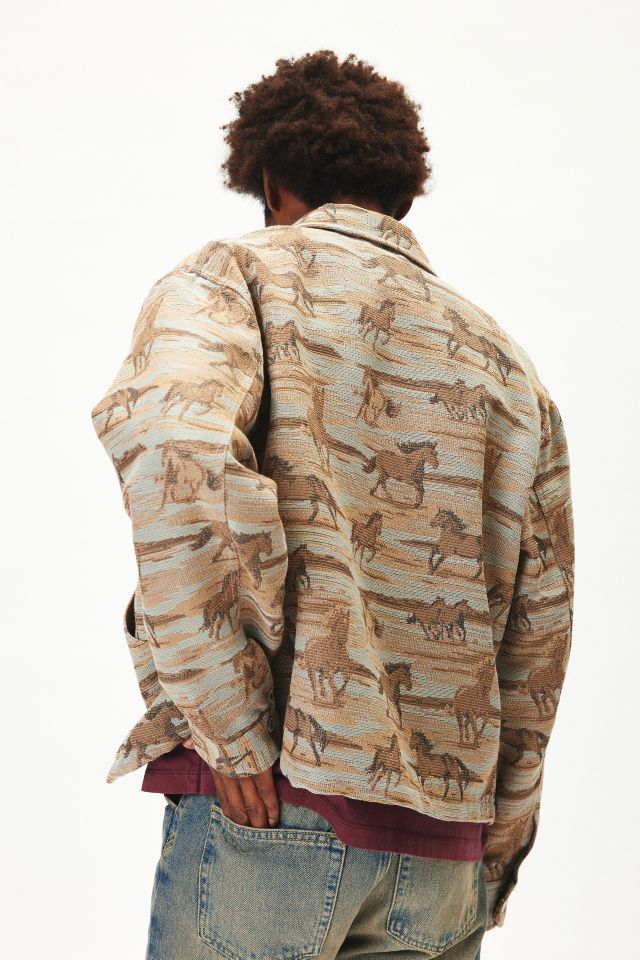Veste zippée BDG à jacquard de cheval #2