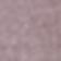 Allspice