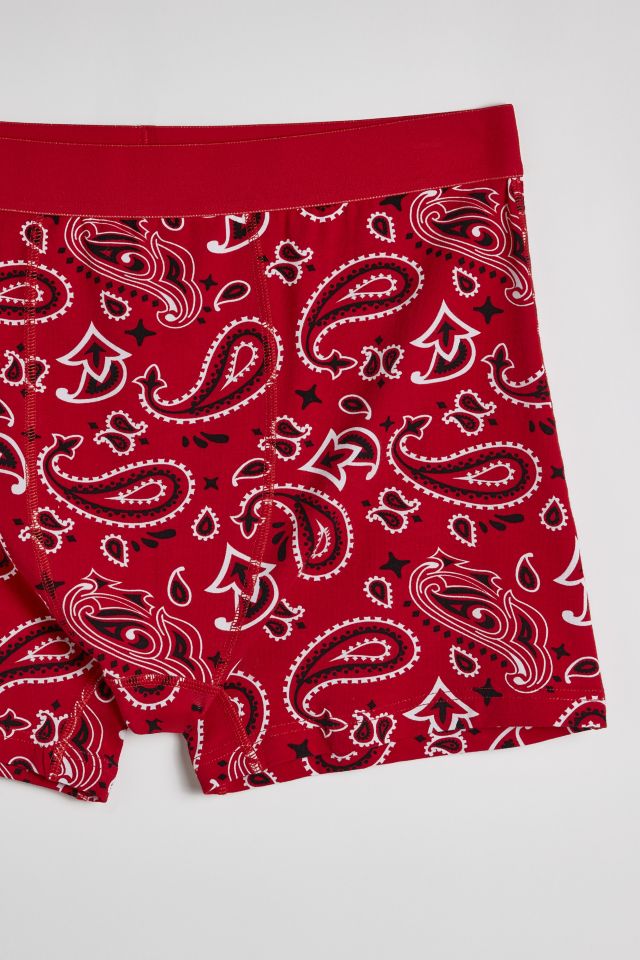 Bandana Pattern Boxer Brief #1