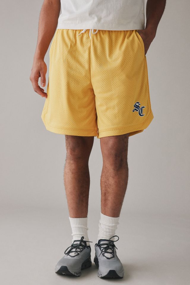 Standard Cloth Longline Mesh Basketball Short #4